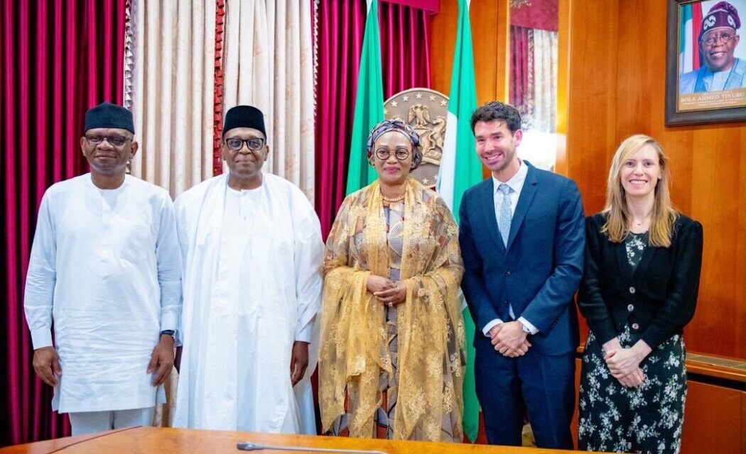 Nigeria Has Best Health Team, Says Remi Tinubu