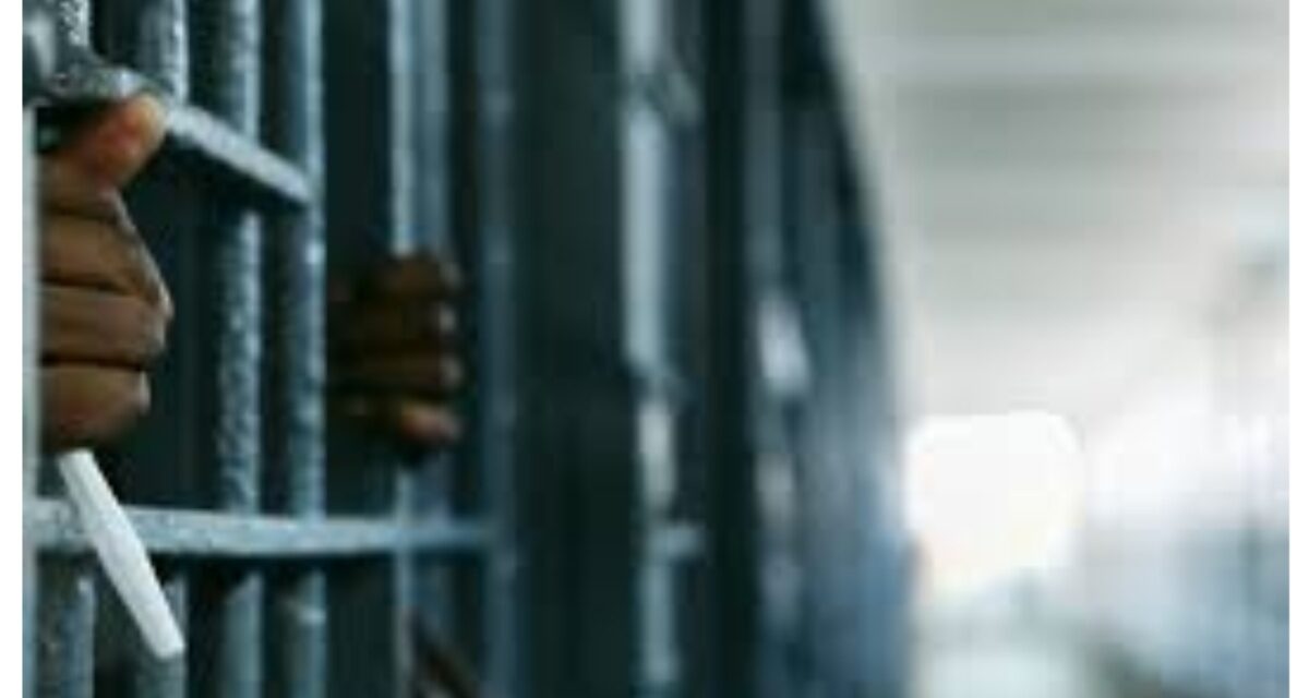 Man jailed five years for producing counterfeit olive oil in Abia