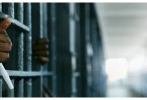 Man jailed five years for producing counterfeit olive oil in Abia