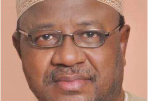 2027 campaign one-sided, only APC on ground, others are on social media – Umar Ardo