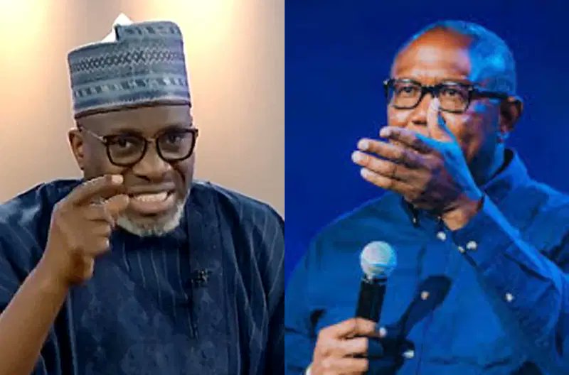 Why South-East May Struggle To Produce President — Sowunmi