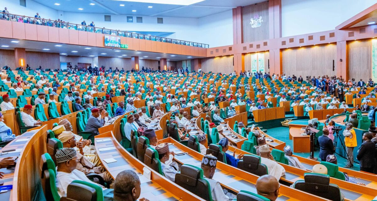 Nigerian lawmakers demand release of outstanding funds for health agencies to strengthen response