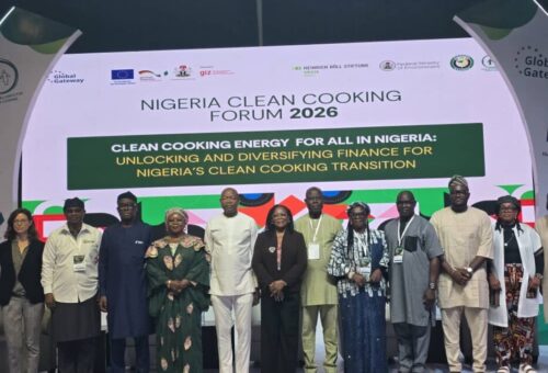 Nigeria Needs More Capital For Clean Cooking Transition — Minister