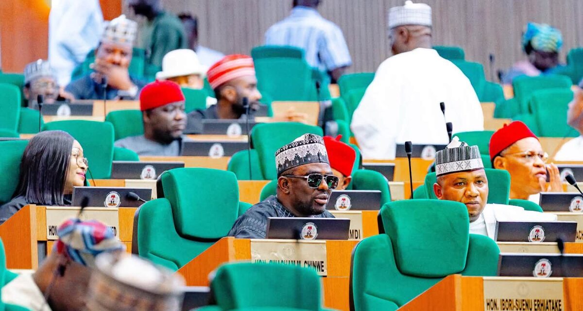 Reps seek transparent framework for EV, CNG vehicle imports