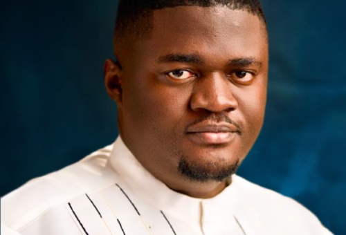 High financing costs remain biggest hurdle to scaling agricultural processing in Nigeria, Johnvents GMD