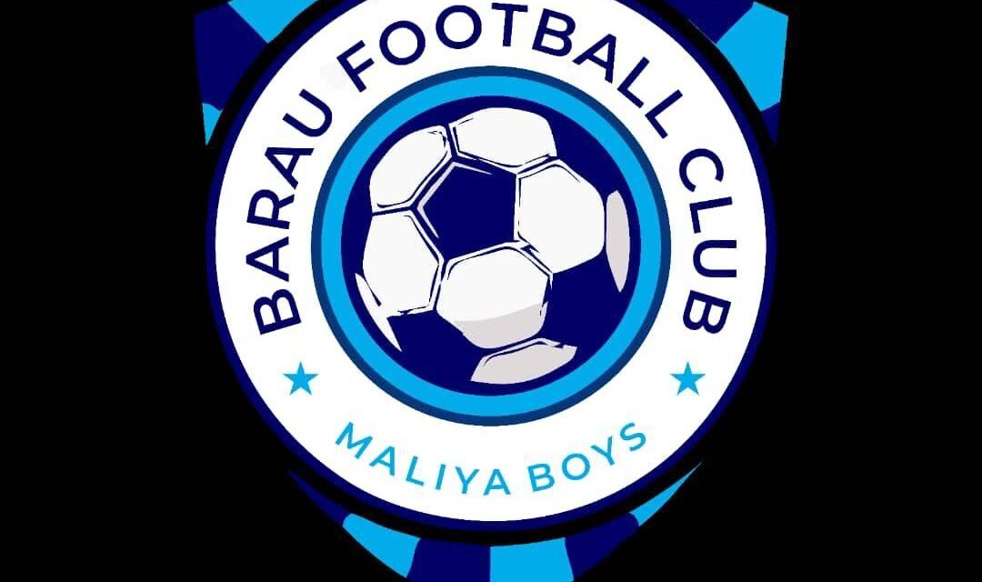 NPFL: Barau FC faces warning over security lapses at home games