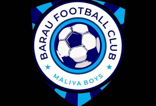 NPFL: Barau FC faces warning over security lapses at home games