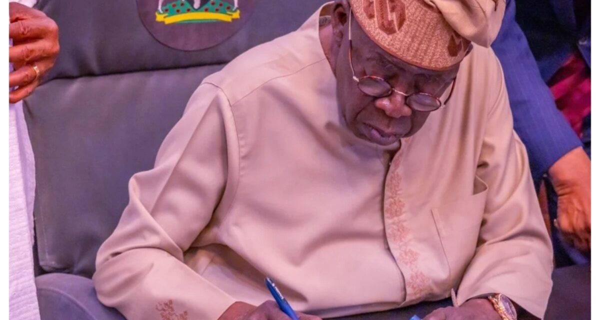 Tinubu gives appointment to Enugu ex-lawmaker, Chinedu Nwamba