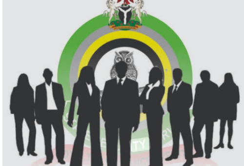 DSS Witness Says Al-Qaeda Backed Ansaru’s Oriire Kidnap – Arise News