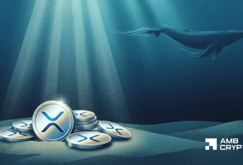 XRP ETFs bring in .26M – Yet THIS whale signal raises questions