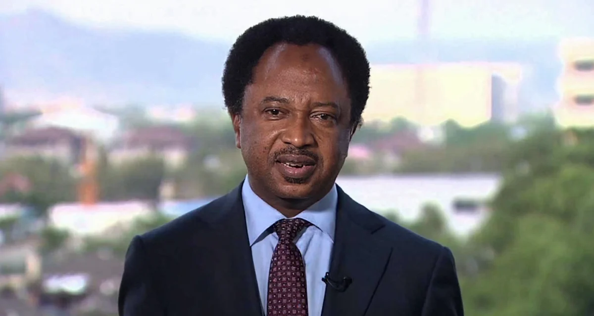 Shehu Sani revisits 2022 Waziri controversy