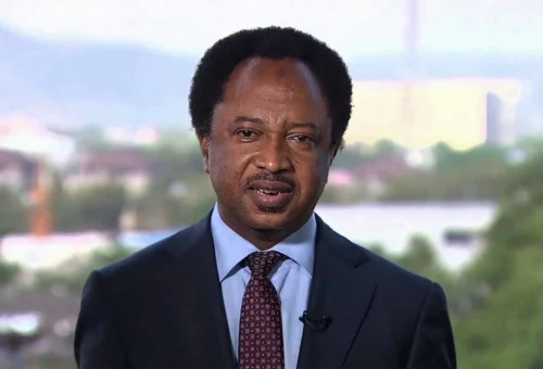 Shehu Sani revisits 2022 Waziri controversy