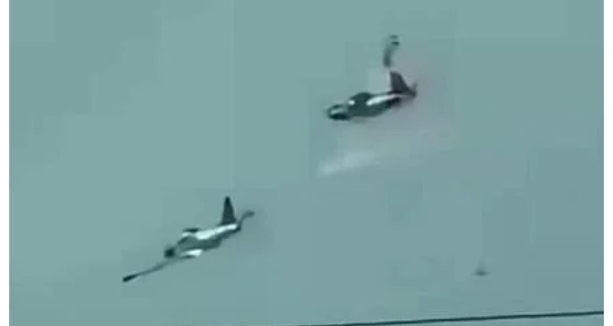 Four pilots killed as two military planes crash mid-air in Philippines