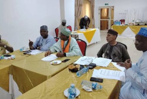Opposition Parties Near Consensus Candidate To Unseat Tinubu, G100 Says – Arise News