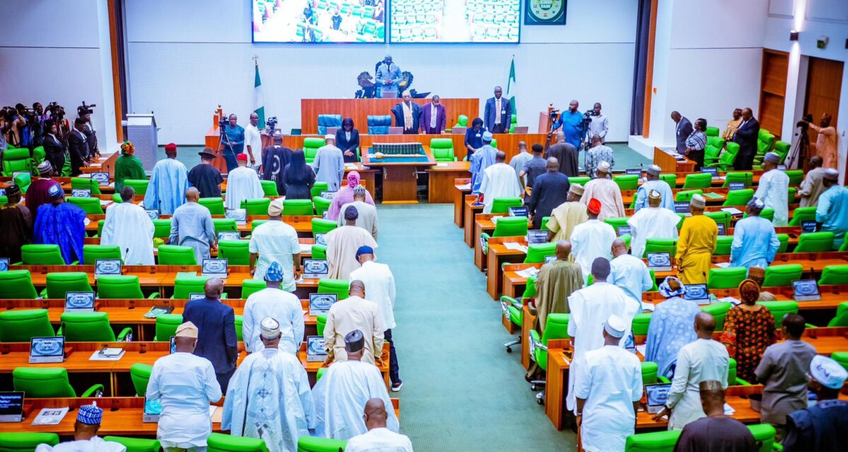 House Gives INEC Chairman Seven Legislative Days To Explain 2027 Election Readiness – Arise News