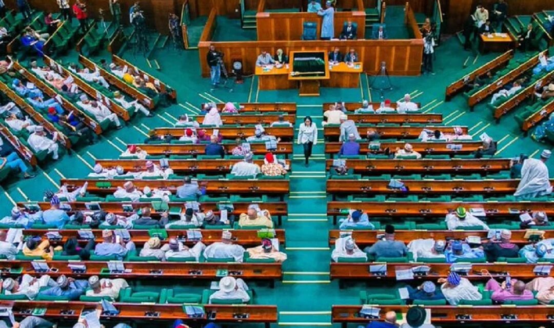 Reps threaten arrest warrants against Federal Polytechnic officials over audit queries