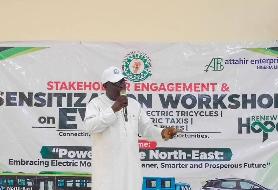 NEDC To Deploy 10,330 Electric Vehicles Across North-East To Reduce Transport Costs