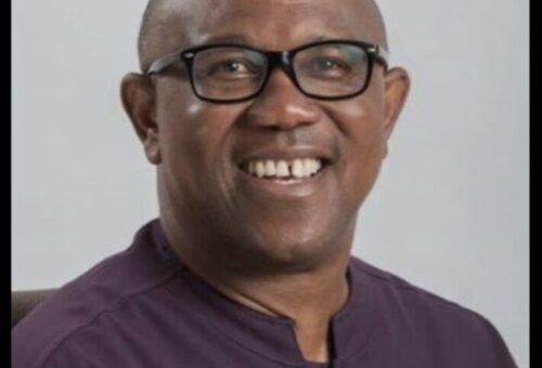 We’ll Rig Those Who Rig Elections, Peter Obi Warns