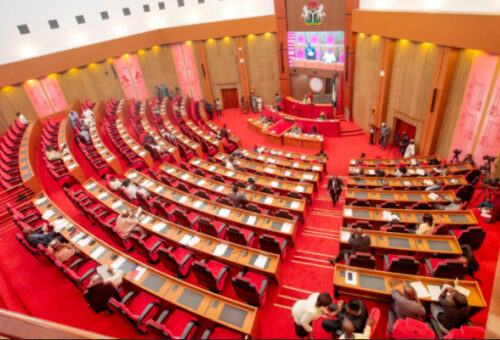 Senate Confirms Ex-Sports Minister Sani Ndanusa As Ambassador-Designate
