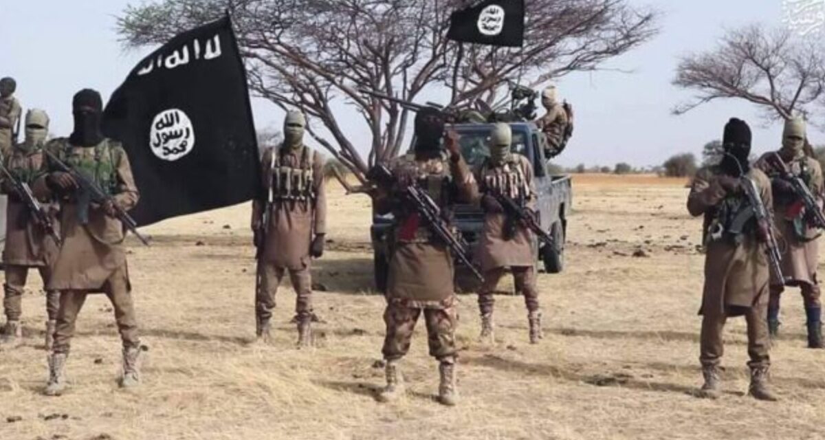 ISWAP fighter flees enclave, surrenders with wife, son in Borno
