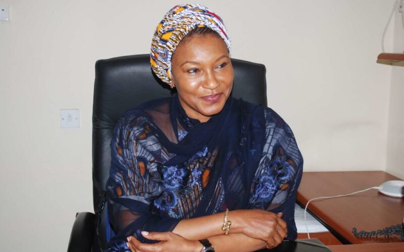 Kingibe, Others Canvass Funding, Legislative Intervention On Healthcare Deficits Kingibe, Others Canvass Funding, Legislative Intervention On Healthcare Deficits