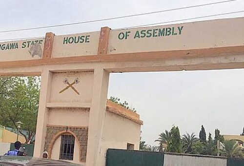 Jigawa Assembly Backs State Police, Says Decentralised Security Will Protect Communities – Arise News