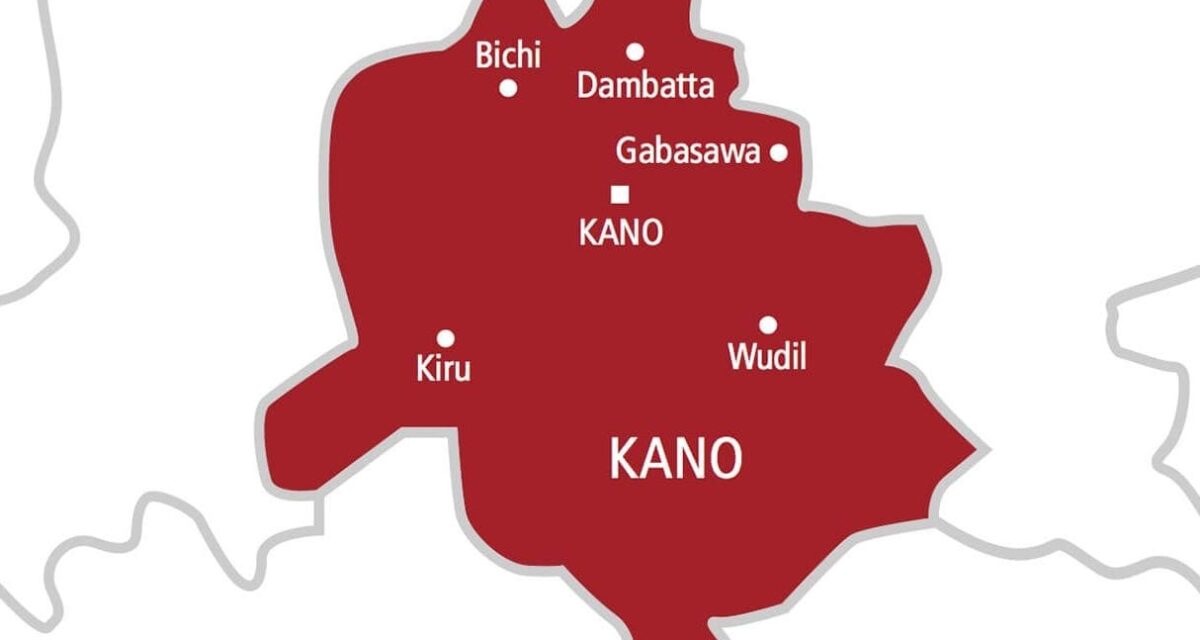 Kano: Emergency declaration on education yet to translate to results – Kwankwasiyya Movement