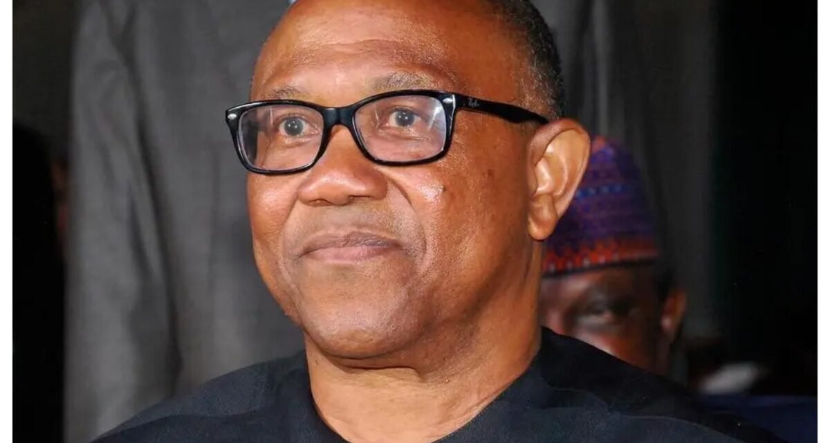 ‘NDC campaign council full of content creators’ – Presidency mocks Peter Obi
