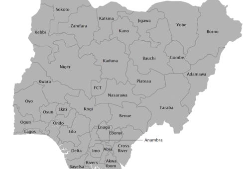 How much have Nigerian states allocated to emergency preparedness?