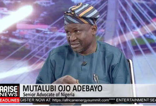 Adebayo Says Tinubu, Wike Are Politicians Who Understand The Games – Arise News