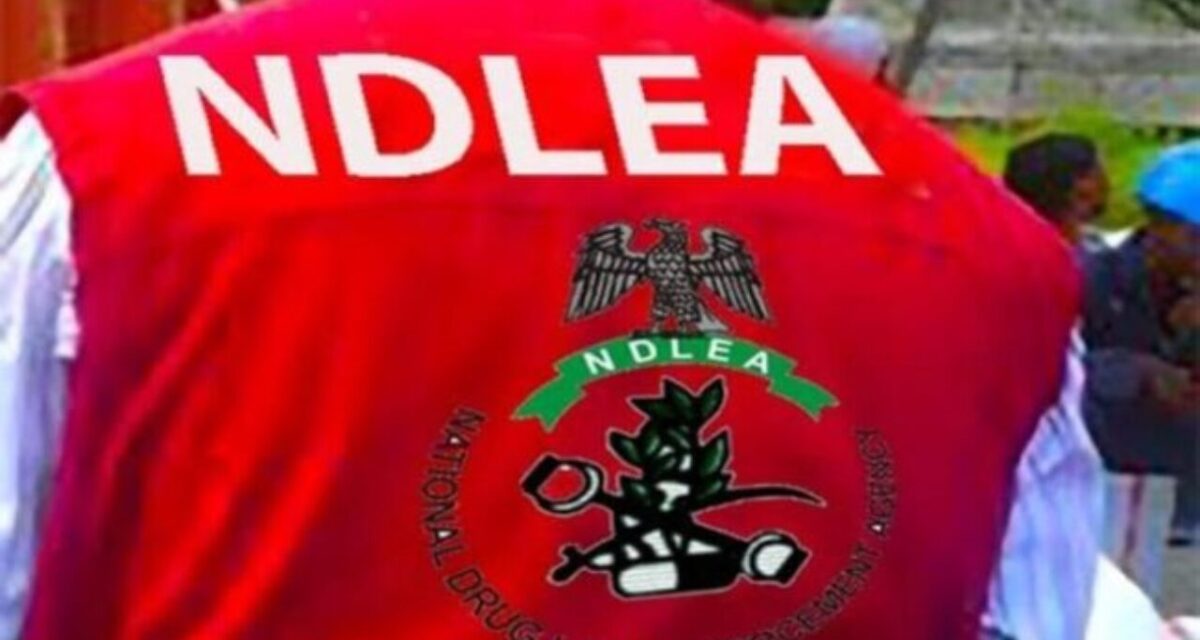 NDLEA, journalist give accounts over alleged assault, mob attack in Calabar
