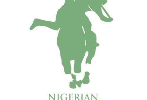 “The World Is Taking Note of Nigeria” — Abubakar Hails Historic World Polo Championship Qualifiers Hosting Rights