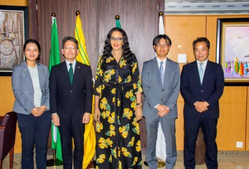 Nigeria, Japan Plan Industrial Hub To Boost Investment, Technology Transfer – Arise News