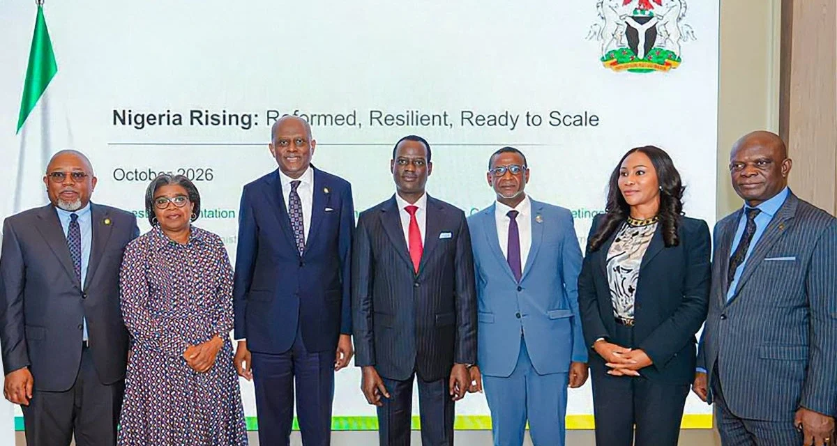 ‘Nigeria Rising’: Oyedele says reforms are changing how world sees Nigeria
