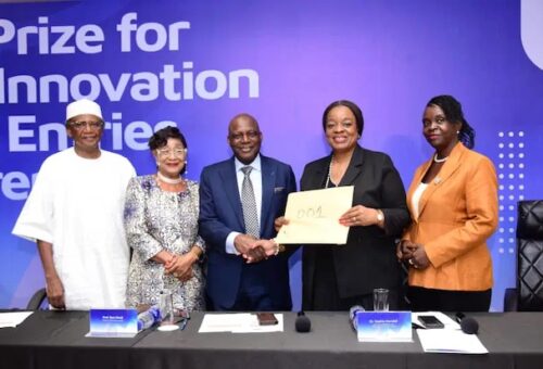 Nigerian AI Innovation Cuts MRI Scan Time By 90%, Wins 2026 Science And Innovation Prize – Arise News