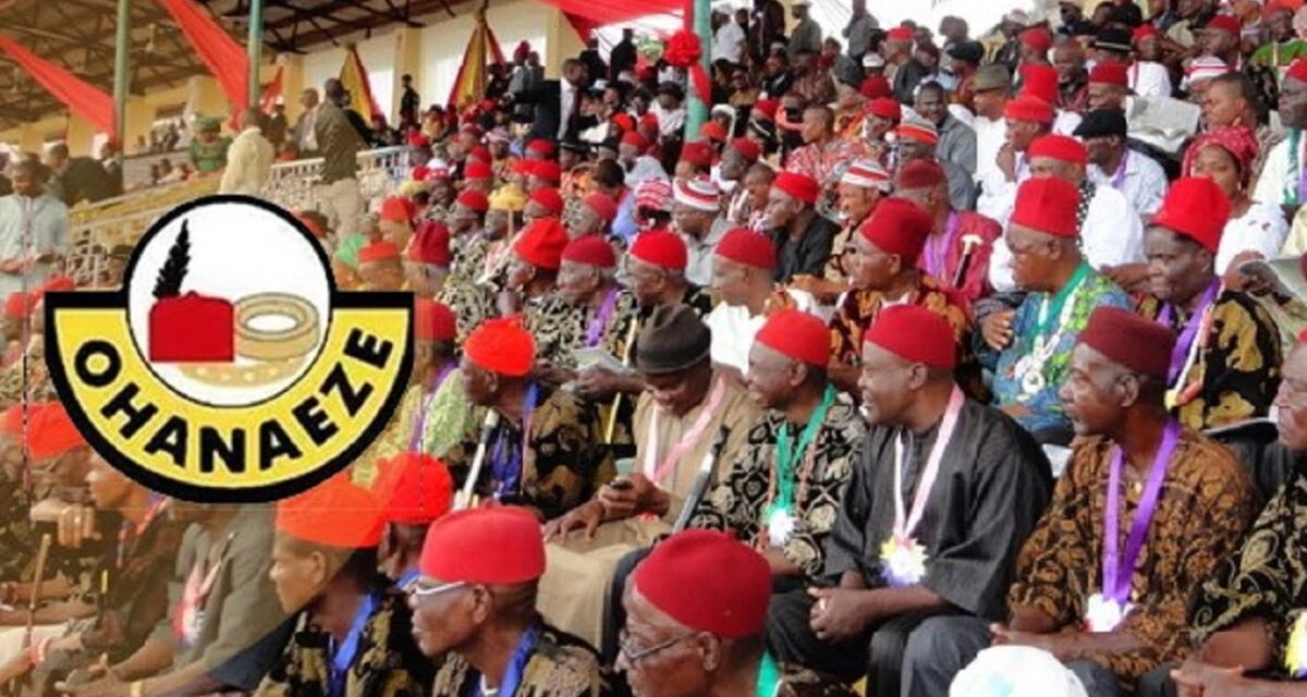 2027: Our people should defend their votes – Ohanaeze warns election riggers
