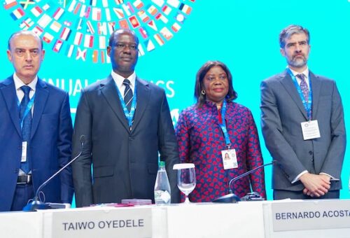 Oyedele Leads G-24 Call For Fairer Global Finance, Cheaper Development Loans – Arise News