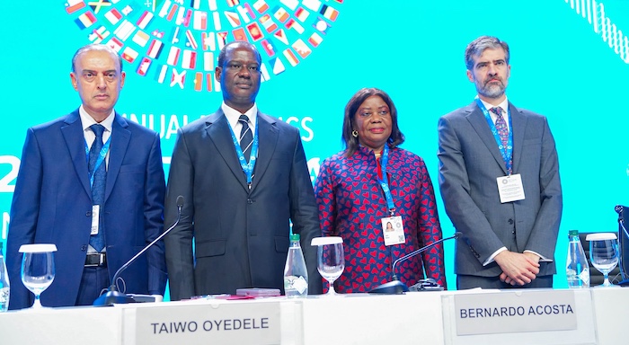 Oyedele Leads G-24 Call For Fairer Global Finance, Cheaper Development Loans – Arise News