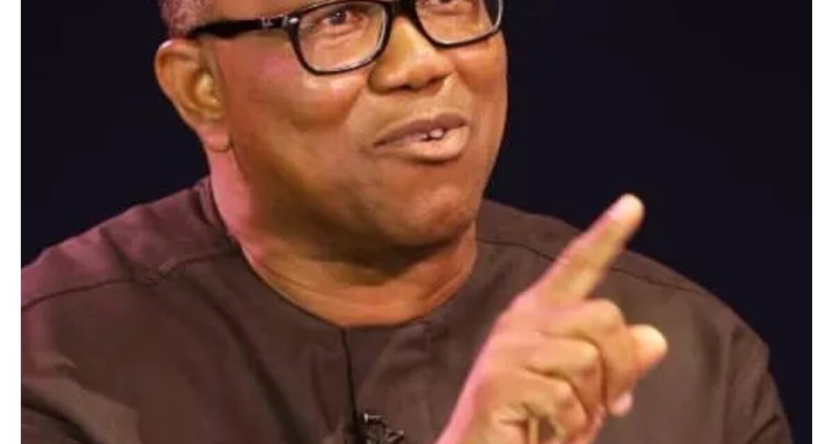EndSARS: ‘Price Nigerian youths paid for demanding better country’ — Peter Obi