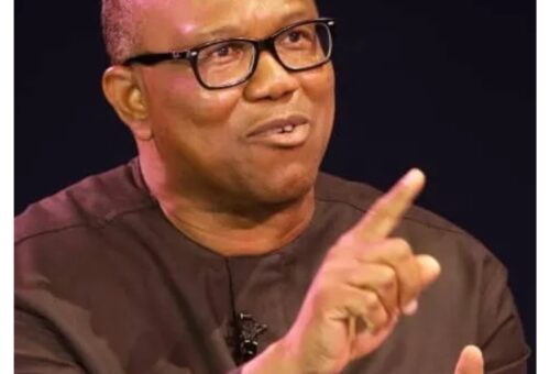 EndSARS: ‘Price Nigerian youths paid for demanding better country’ — Peter Obi