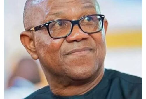 2027: Lagos APC spokesman predicts trouble for Peter Obi, Obidient Movement