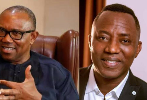 Sowore Accuses NDC Leaders Of Making ₦9bn From Nomination Forms, Knocks Obi