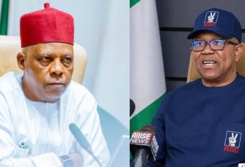 Peter Obi’s Media Office Faults Shettima Over ‘Diminished’ Remark, Compares Governors Records – Arise News
