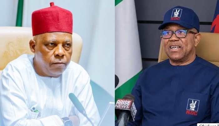 Peter Obi’s Media Office Faults Shettima Over ‘Diminished’ Remark, Compares Governors Records – Arise News