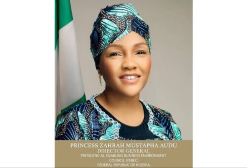 Benue Gov Alia celebrates PEBEC DG Princess Zarah Audu on birthday