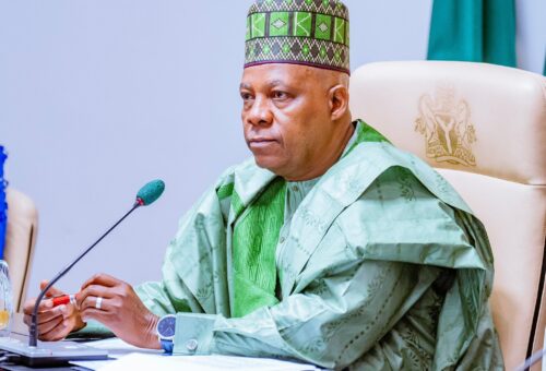 You can fix electricity without FG – Shettima tells 36 governors
