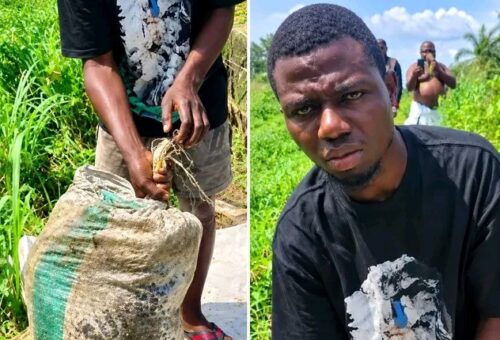 Police arrest man who murdered ex-girlfriend, hid body in sack