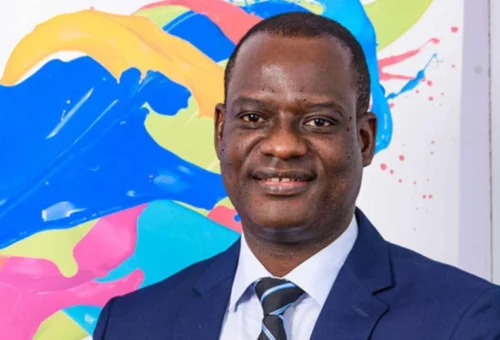 Nigeria’s Next Growth Phase Will Depend On Private Investment, Says Oyedele