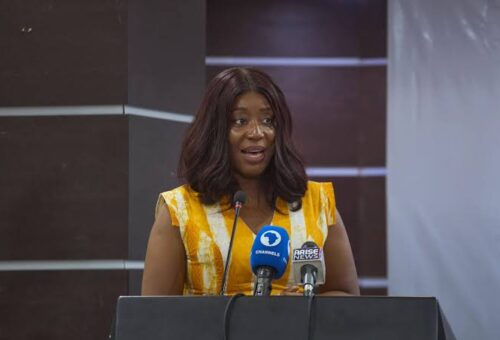 Nigeria Targets 840,000 Climate Jobs By 2060, Seeks Investment At COP31 – Arise News