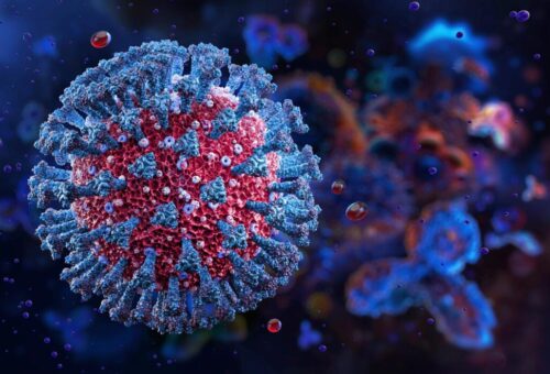 Swiss Government Says Nigeria Patient Likely Contracted Virus In Uganda